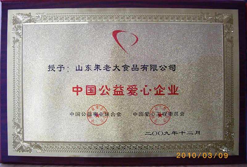 中国公益爱心企业